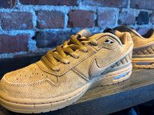 Load image into Gallery viewer, Nike SB P-Rod Zoom Air Low lt. tan
